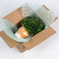 package protection plastic bubble cushion  buffer packaging